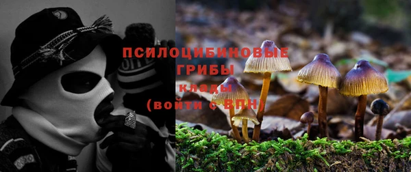 гашиш Верея
