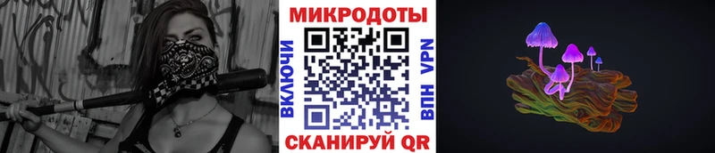 Псилоцибиновые грибы Psilocybe  Северобайкальск 